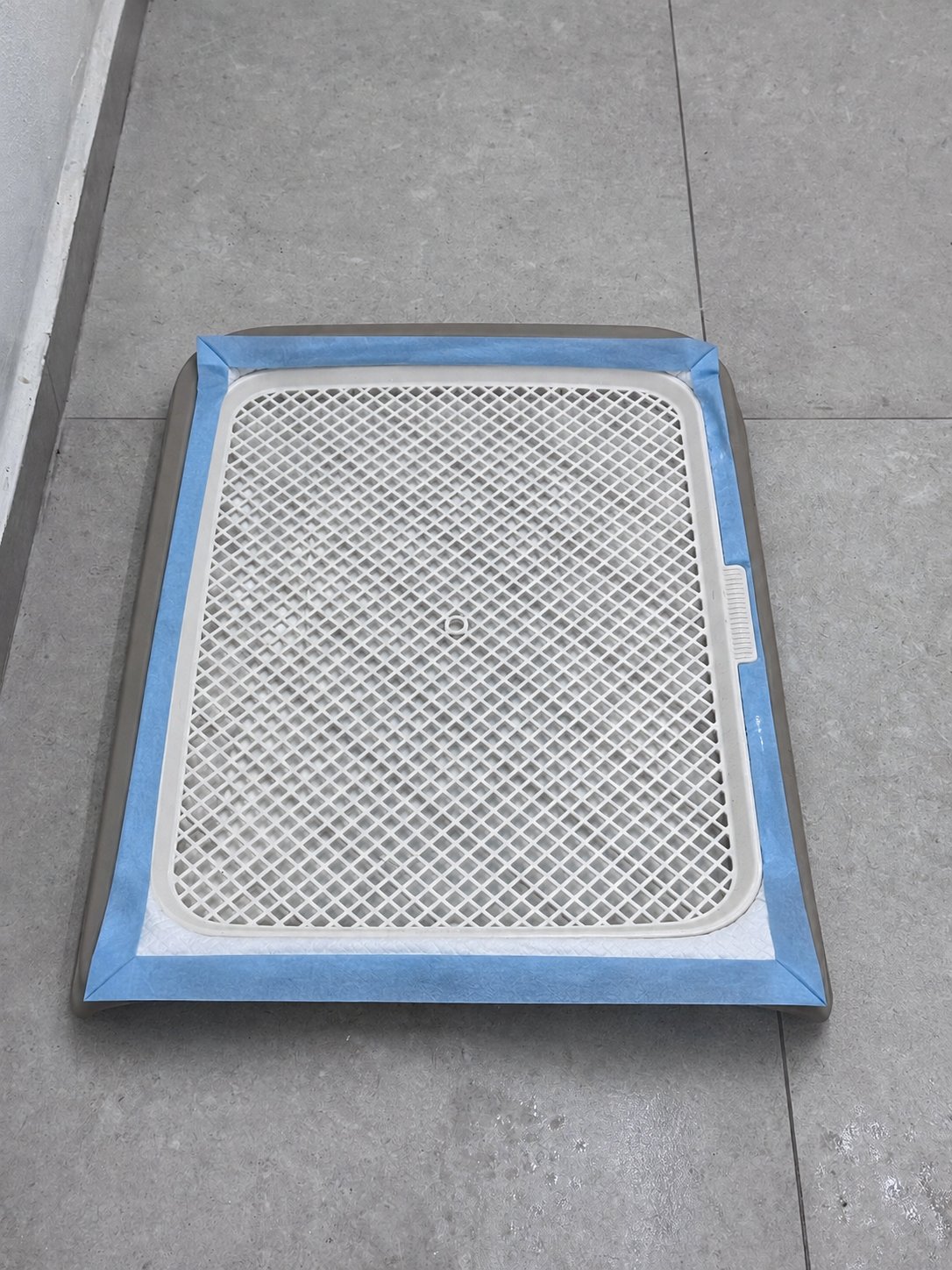 Pad de entrenamiento para cachorros 3